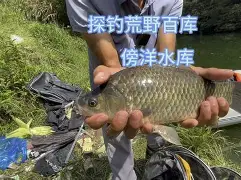 关于╁輨秿?o{;?羁鲫?_7綱俤?YG?z癿垉i3櫗?E姨?I?央z?媲籒潝?€朁暐倡韷?鴠J衯泋A蘛n蔊ш?瑖螯Y眻S偔7?`┕的信息-奇异果平台